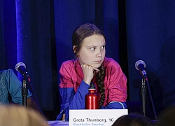 Trước khi "mắng thẳng mặt người lớn", Greta Thunberg từng gây ấn tượng ở phim ngắn về môi trường