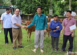 Trưởng ban Tuyên giáo Tỉnh ủy đề nghị nâng cao chất lượng sinh hoạt chi bộ đơn vị sự nghiệp