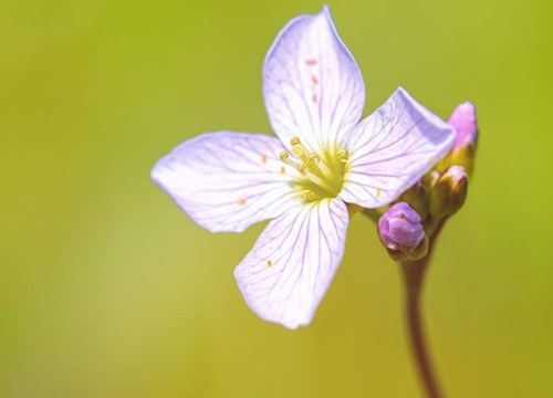 Tử vi thứ Bảy ngày 28/9/2019 của 12 cung hoàng đạo