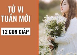 Tử vi tuần mới của 12 con giáp (30/9 - 6/10): Thân, Sửu tiền tìm đến tận cửa, Dần, Mùi trong phúc có họa