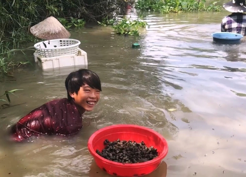 Ngụp lặn mò ốc quắn mùa lụt miền Tây