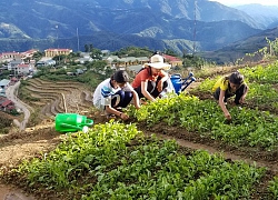 Xúc động giáo viên vùng biên trèo đèo lội suối vận động học sinh đến trường