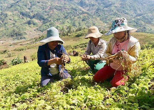 10 năm nông thôn mới Kon Tum: Đăk Glei làm chuyện lớn bằng vốn nhỏ