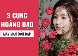 Tháng 10 dương là thời kì vàng son của 3 cung hoàng đạo sau, mua két cất tiền, mua nhà sắm xe thôi nhé