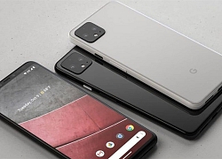 Google Pixel 4 lộ ảnh báo chí: Không tai thỏ, cụm camera như iPhone 11