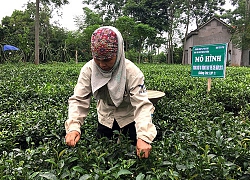 Hà Nội: Xã vùng dân tộc thiểu số ngày càng giàu, đẹp