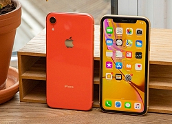 iPhone XR với OnePlus 7T: Chọn siêu phẩm mới hay Flagship cũ?