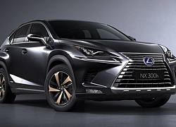 Lexus NX300 phiên bản đặc biệt có giá khoảng 1 tỉ đồng