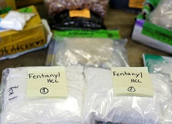 Mỹ buộc tội 3 công dân Trung Quốc về hành vi buôn bán trái phép chất fentanyl