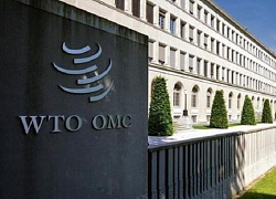 WTO hạ dự báo tăng trưởng thương mại hàng hóa toàn cầu năm 2019 xuống còn 1,2%