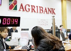 8 tháng đầu năm, lợi nhuận Agribank báo đạt 8.820 tỷ đồng