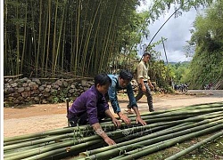 Cao Bằng: Vùng đất trồng trúc thẳng tắp đẹp như phim, dân đổi đời