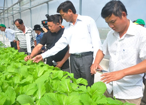 Chương trình Tự hào Nông dân Việt Nam: Bước đi để mở tầm nhìn