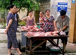 Dịch tả lợn châu Phi bao vây TP Vinh, nguy cơ 'vỡ trận' kiểm soát