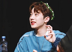 Hậu 'Wanna One', Lai Guan Lin về nước phát triển nhưng không thuận lợi dù tham gia nhiều chương trình thực tế