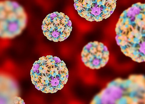 Hiểu về HPV - virus lây qua đường 'yêu' phổ biến nhất hiện nay