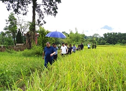 Hội Nông dân Việt Nam dâng hương tại di tích lịch sử Việt Bắc