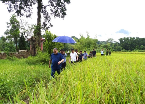 Hội Nông dân Việt Nam dâng hương tại di tích lịch sử Việt Bắc