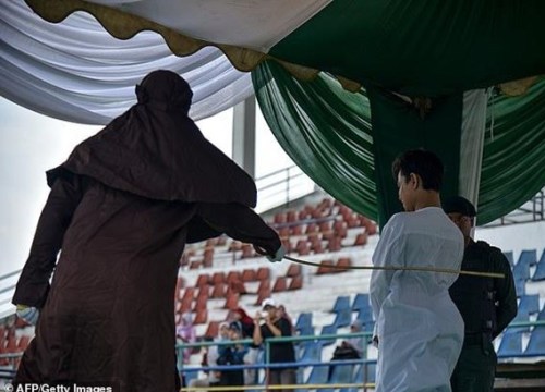 Indonesia: Phạt đánh 100 roi các đối tượng săn bắt động vật hoang dã