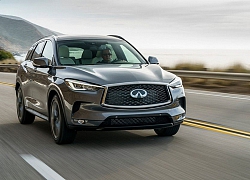 Infiniti QX50 2020 mở rộng phạm vi và bổ sung công nghệ mới