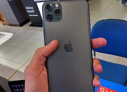 iPhone 11 xách tay bị lỗi, thanh niên loay hoay tìm chỗ bảo hành