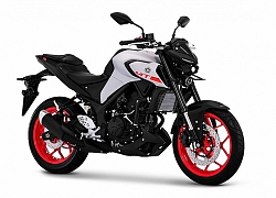 Naked bike Yamaha MT-25/MT-03 2020 trình làng, giá bán từ 87,9 triệu