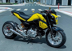 Ngắm xế nổ Honda MSX125 độ "lùn tịt", gầm hạ sát đất đầy chất chơi từ Cà Mau