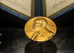 Những ứng viên sáng giá cho giải Nobel Y học 2019