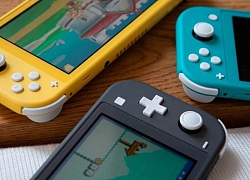 Nintendo Switch Lite bị đưa vào vụ kiện trôi cần analog