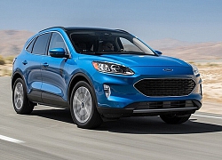 Ra mắt chưa lâu, Ford Escape 2020 dính án triệu hồi tại Mỹ