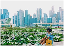 Singapore: Hiện đại là nhân sinh