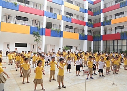 Tập đoàn Bách Việt ra mắt hệ thống giáo dục Vietschool