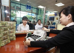 Tổng số tiền nợ thuế giảm 3% so với cùng kỳ