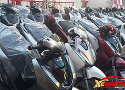 Honda SH cháy hàng, đại lý bán chênh giá tới 26 triệu đồng