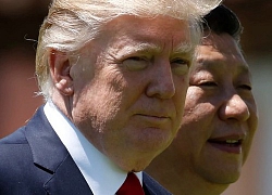 APEC bị hủy, cuộc gặp Trump - Tập có thể diễn ra ở Macao