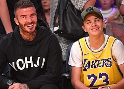 Becks và con trai đi xem bóng rổ
