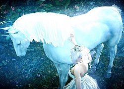 Black Desert Mobile: Siêu phẩm RPG nay đã có phiên bản điện thoại