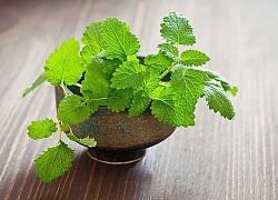 Các loại thảo mộc giúp giảm béo bụng hiệu quả.