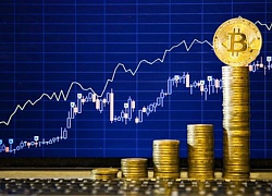Cadivi (CAV) muốn mua 5% lượng cổ phiếu lưu hành làm cổ phiếu quỹ