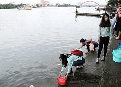 Chuyện phóng sinh bên bờ sông Sài Gòn