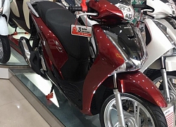 Giá Honda SH lại tăng chóng mặt, chênh vượt ngưỡng 20 triệu đồng tại đại lý