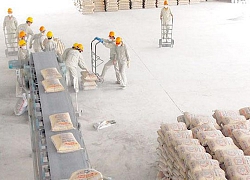Giá vốn giảm sâu, Xi măng Bỉm Sơn (BCC) báo lãi 9 tháng tăng 150% so với cùng kỳ