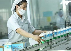 GTN Foods: Lãi ròng và doanh thu thuần 'nắm tay' giảm