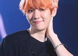 Nam thần tượng được xem là ví dụ của idol hoàn hảo nhất: là "thiên tài biểu diễn", cân tất mọi kỹ năng và hình tượng