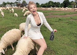 Ngồi lên cừu để chụp ảnh, Ngân 98 bị netizen chỉ trích đang 'ngược đãi động vật'