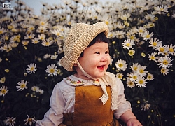 Nhà bao việc vẫn phải chụp ảnh, bé gái khóc hết nước mắt, biểu cảm đáng yêu giữa vườn cúc họa mi