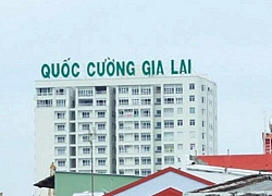 Quốc Cường Gia Lai thoát lỗ ngoạn mục nhưng vẫn nợ gần 3 nghìn tỷ từ dự án Phước Kiển