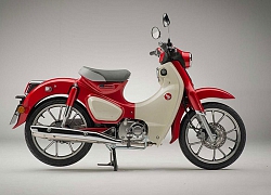 'Soi' Honda Super Cub C125 ABS 2020, giá gần 85 triệu đồng