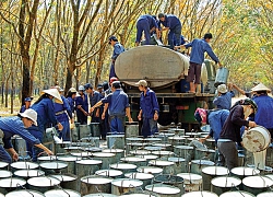 Tập đoàn Cao su Việt Nam (GVR): Quý 3 lãi hơn 1.219 cao gấp 2,5 lần cùng kỳ