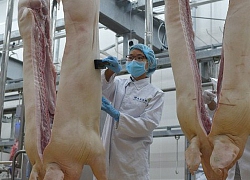 Thịt mát MEATDeli sẽ chiếm 30-50% thị phần Hà Nội vào Tết 2020?